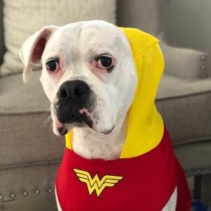 Meet your Posher, Jordan